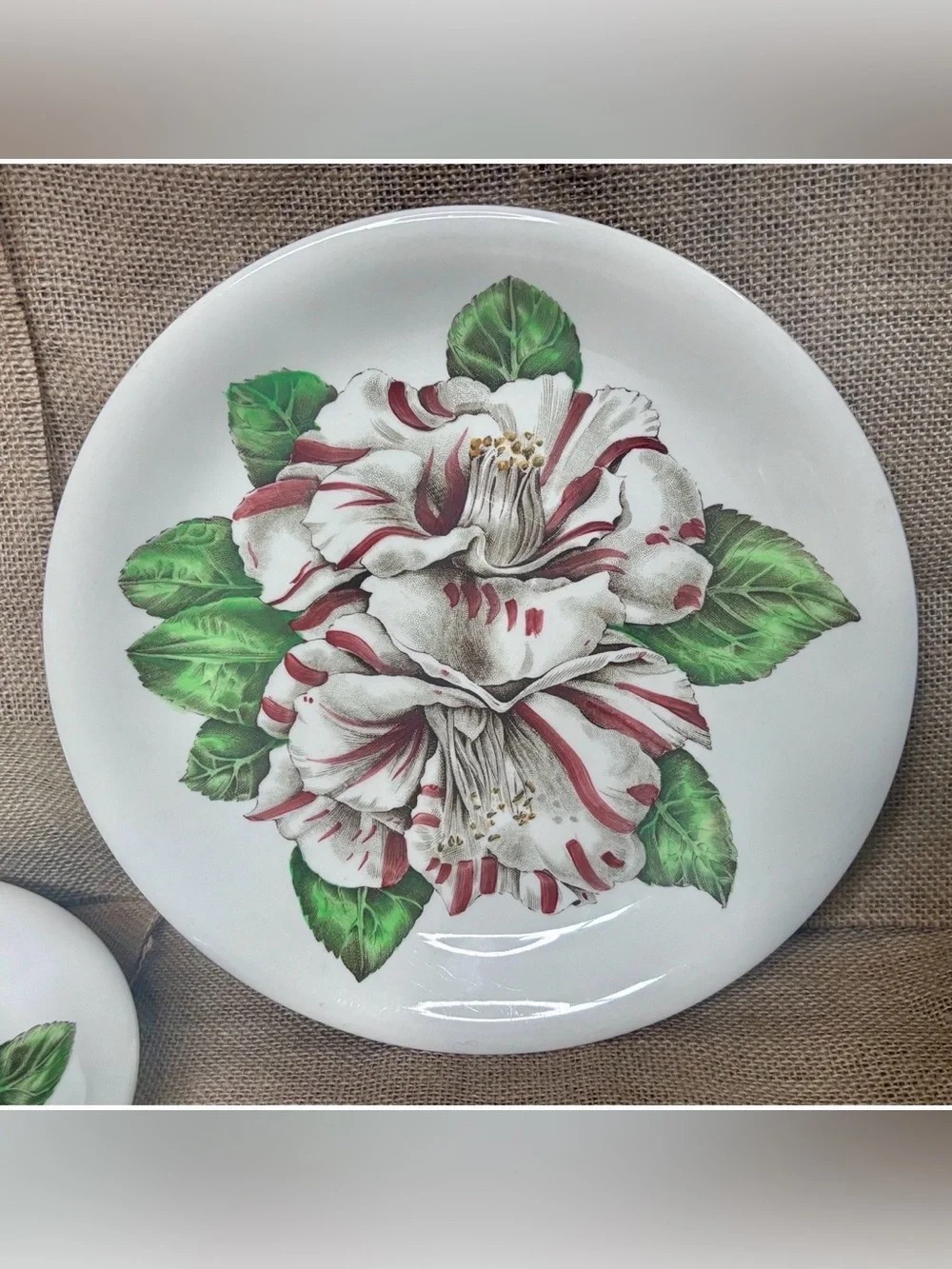 Vintage Johnson Brothers Camellia Floral Dinner Plates Set of 2 Cottagecore